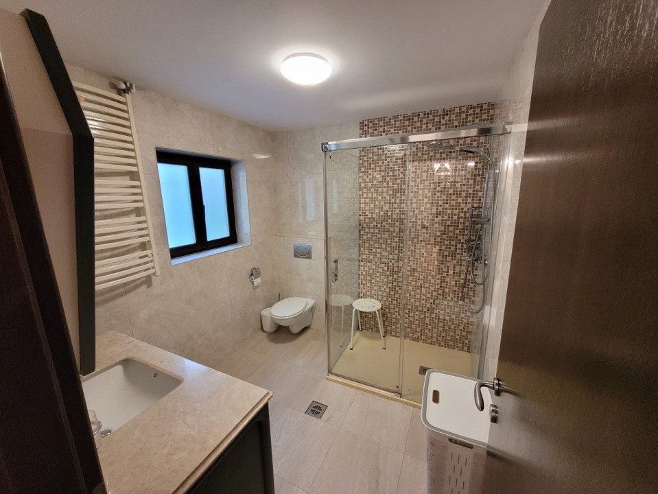 Primaverii Apartament in vila