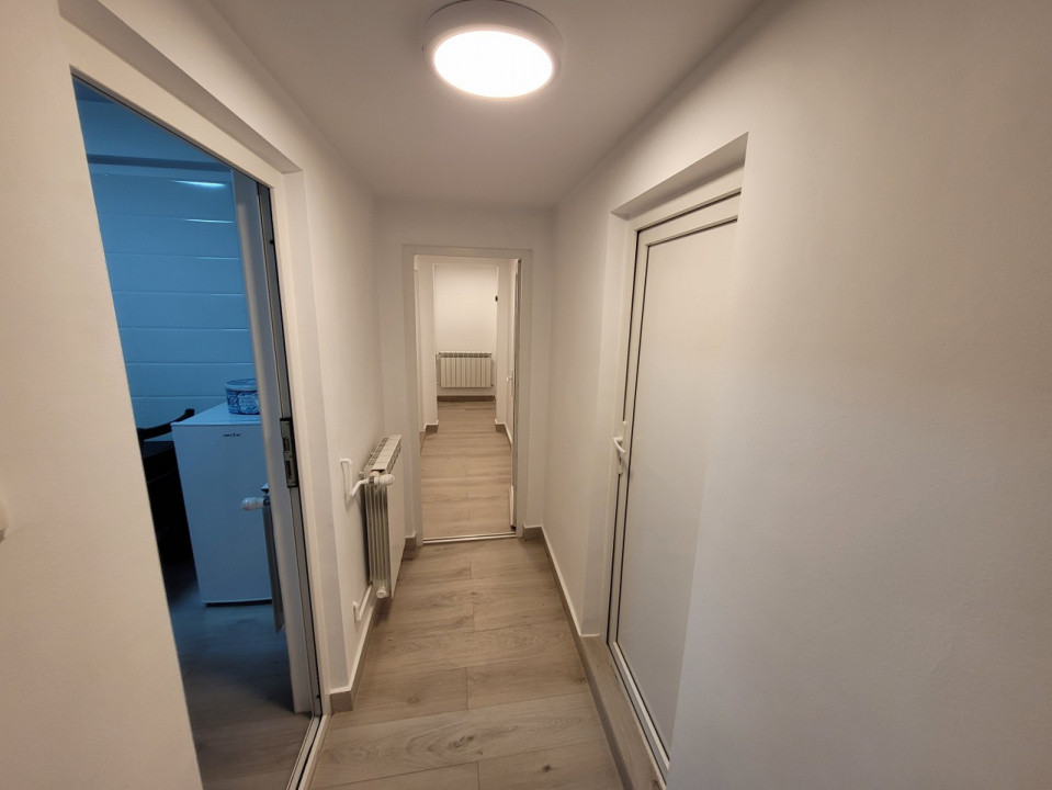 Primaverii Apartament in vila